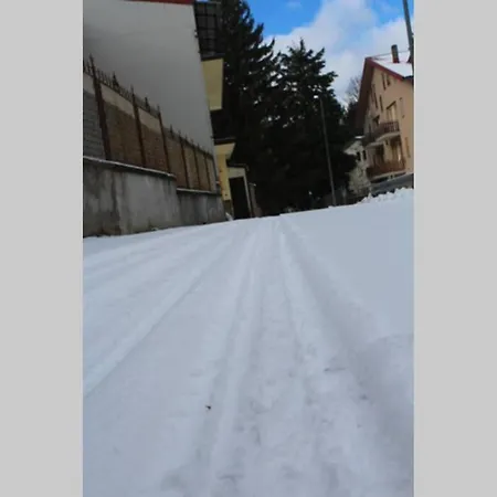 In Via Delle Viole Apartment *